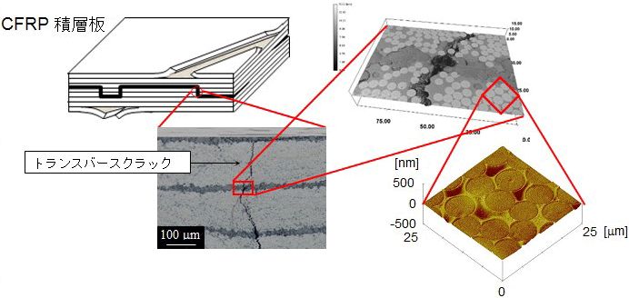 CFRPのマルチスケール損傷評価
