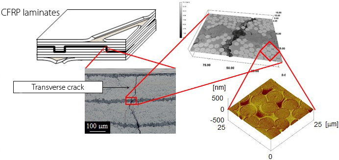 CFRPのマルチスケール損傷評価
